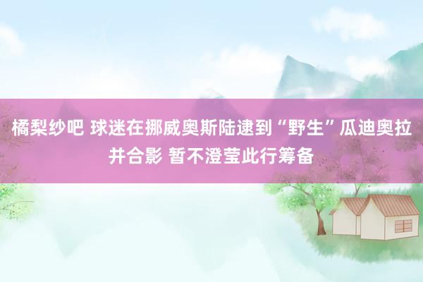 橘梨纱吧 球迷在挪威奥斯陆逮到“野生”瓜迪奥拉并合影 暂不澄莹此行筹备