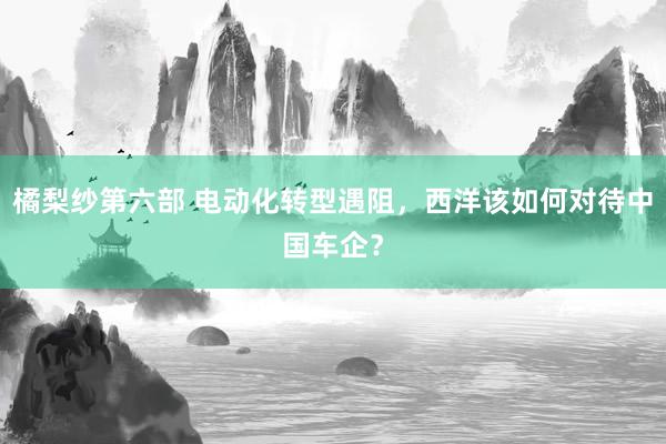 橘梨纱第六部 电动化转型遇阻，西洋该如何对待中国车企？