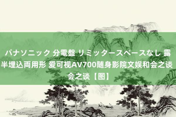 パナソニック 分電盤 リミッタースペースなし 露出・半埋込両用形 爱可视AV700随身影院文娱和会之谈【图】