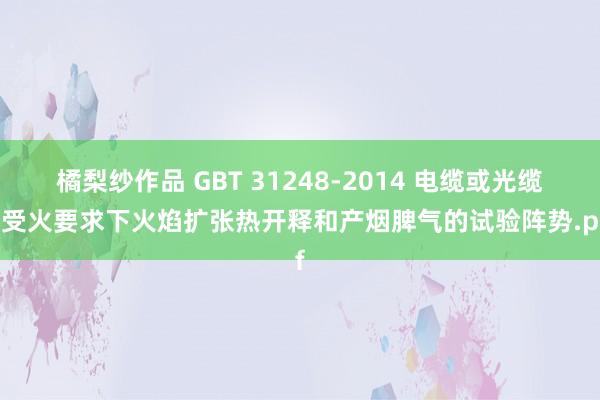 橘梨纱作品 GBT 31248-2014 电缆或光缆在受火要求下火焰扩张热开释和产烟脾气的试验阵势.pdf