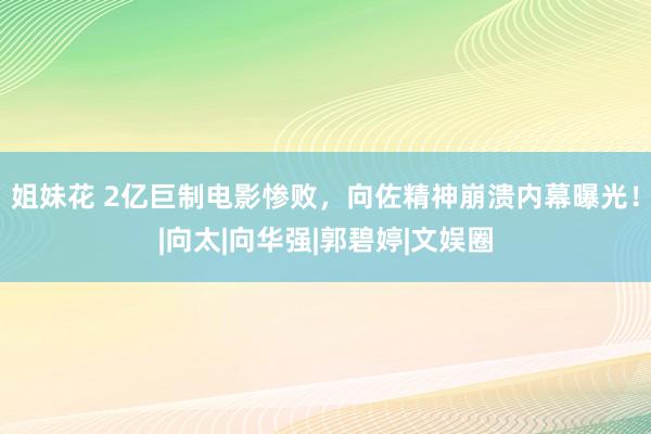 姐妹花 2亿巨制电影惨败，向佐精神崩溃内幕曝光！|向太|向华强|郭碧婷|文娱圈